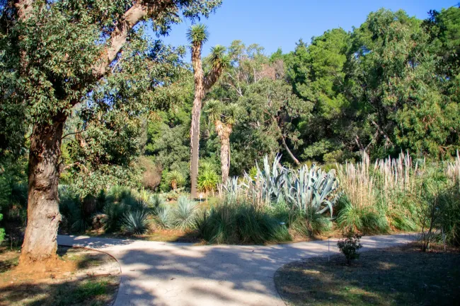 Lokrum botanicki-vrt