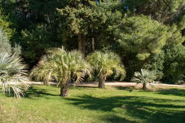 Lokrum botanicki-vrt