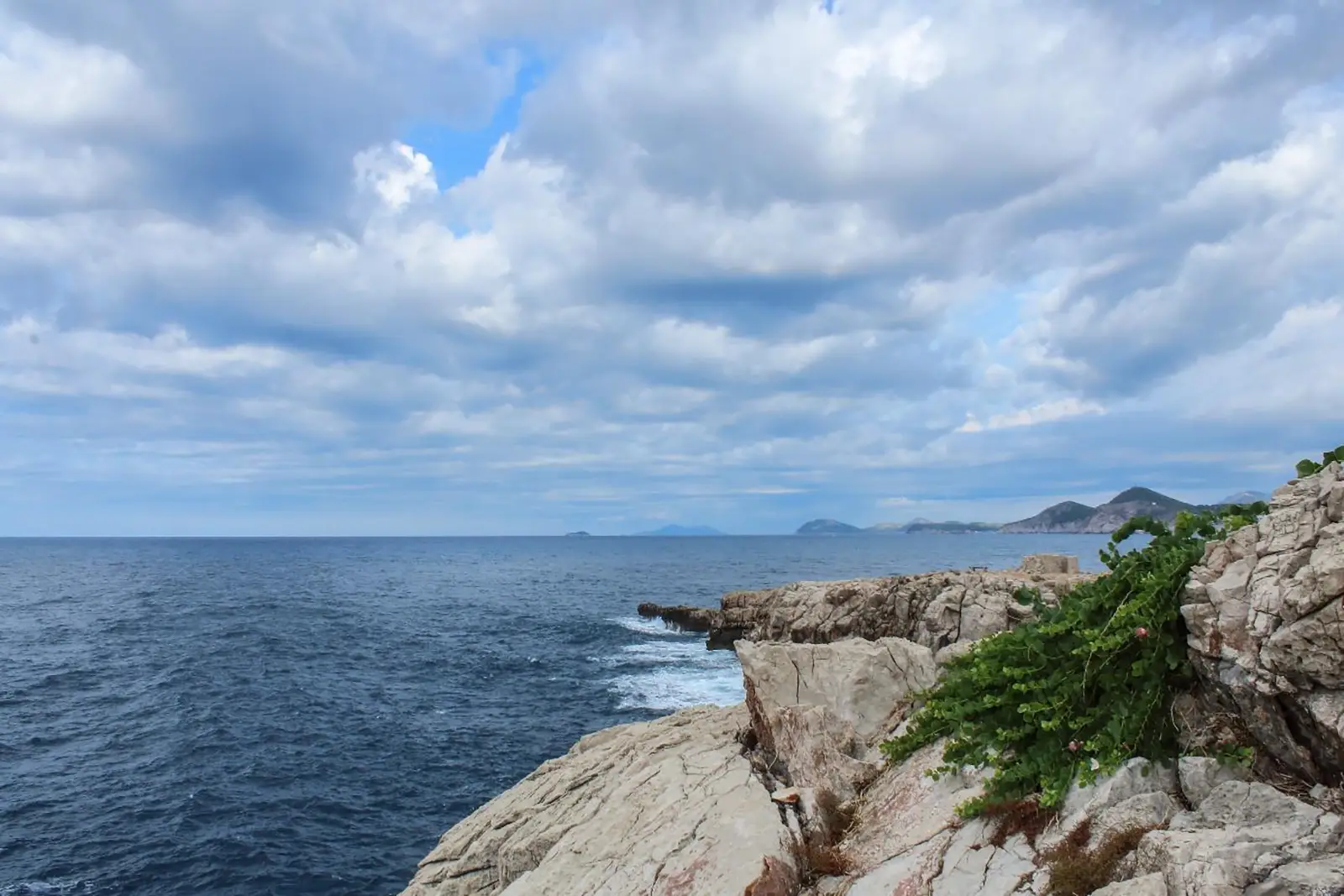 STIJENE I STRMCI (KLIFOVI) MEDITERANSKIH OBALA OBRASLI ENDEMIČNIM VRSTAMA <i>Limonium spp.</i>